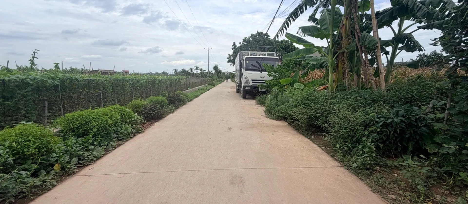 Đất tiềm lăng bứt phá tại đông tảo hoàn long Hưng Yên... Bán đất tại Hoàn Long, Hưng Yên 01