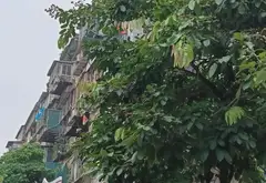 Căn hộ 4 phòng ngủ view Hồ Giảng Võ, giá 12.4 tỷ... Bán căn hộ chung cư tại Giảng Võ, Hà Nội 14