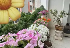 Cơ hội vàng sở hữu biệt thự sang trọng tại KĐT Xa La với giá siêu hấp dẫn... Bán biệt thự, liền kề tại Hà Đông, Hà Nội 11