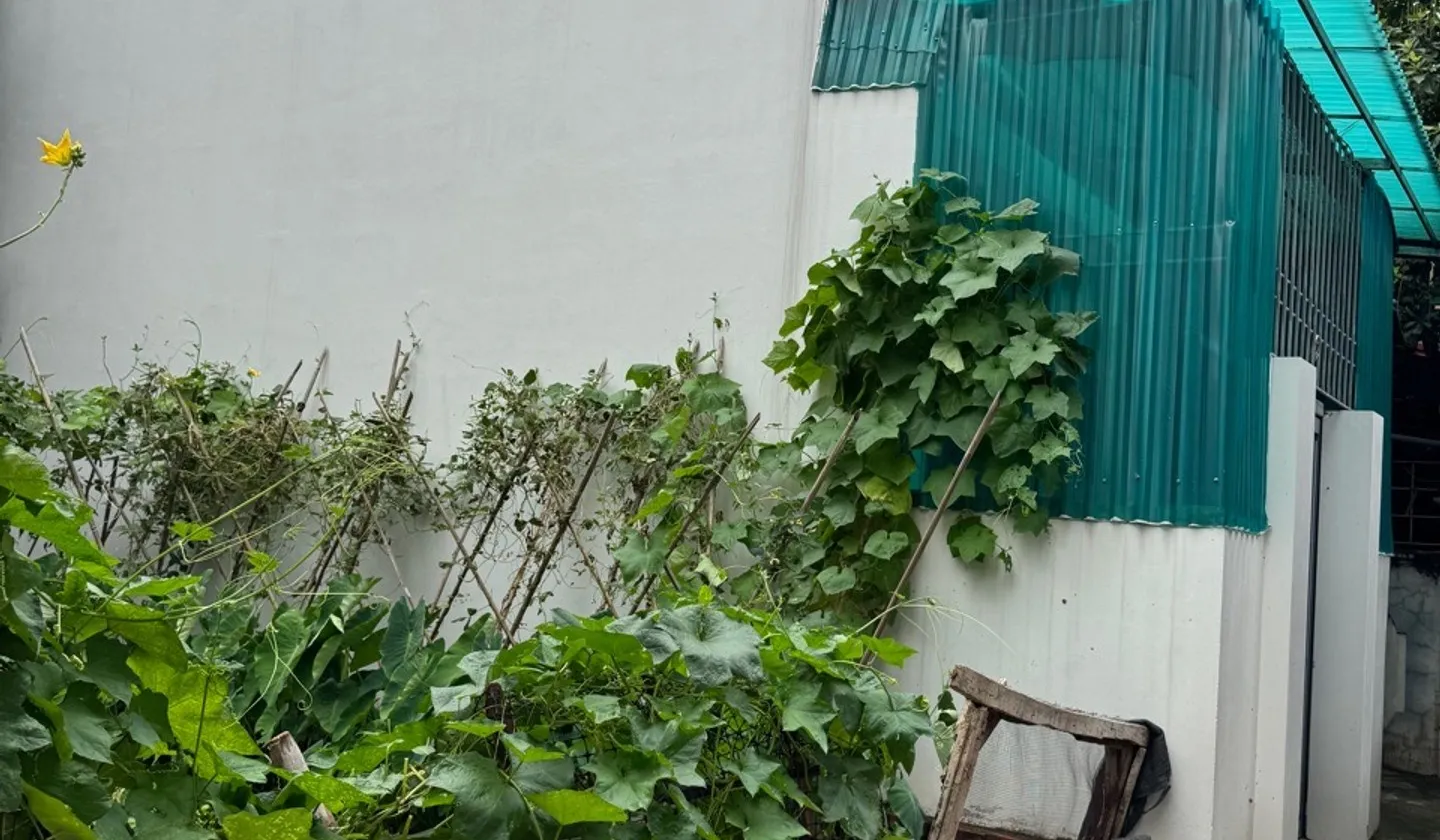 Nhà 2 tầng lô góc, vị trí trung tâm Xã Đan Phượng... Bán nhà riêng tại Đan Phượng, Hà Nội 01