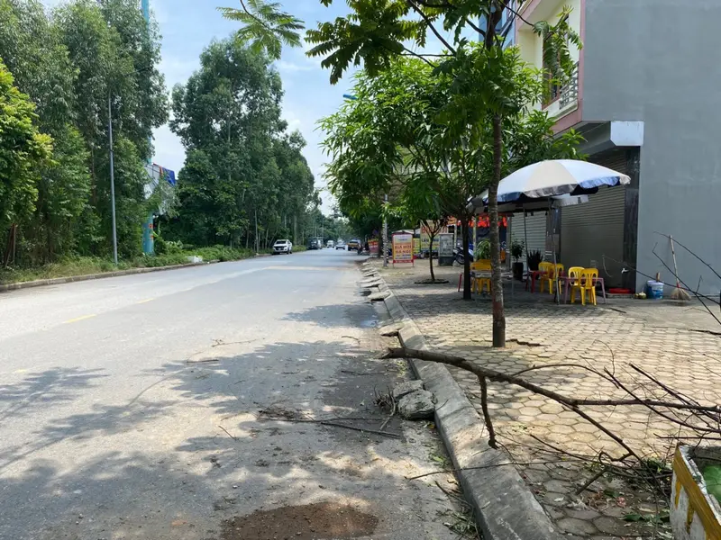 SIÊU PHẨM CHU MẪU, NAM SƠN, BẮC NINH... Bán đất tại Nam Sơn, Bắc Ninh 01