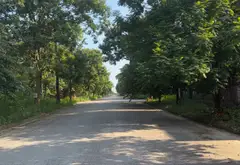 Bán đất biệt thự 351.6m2 tại khu thị trấn Quang Minh giá 22.5 tỷ... Bán đất tại Quang Minh, Hà Nội 05