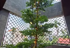 Cơ hội sở hữu biệt thự villa thông tầng sang trọng tại Đặng Cương, giá tốt hiếm có... Bán nhà riêng tại An Dương, Hải Phòng 14