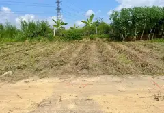 Bán đất xã Hiệp Hòa, Bắc Ninh, diện tích 76.8m² pháp lý rõ ràng, đường ô tô qua đất... Bán đất tại Hiệp Hòa, Bắc Ninh 02