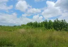 LÔ GÓC 3 MẶT TIỀN ĐINH ĐỨC THIỆN, CÁCH VIN 500M, DIỆN TÍCH 10.081M2... Bán đất tại Bình Chánh, Hồ Chí Minh 10