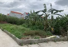 🔥🔥HIẾM💯 125m ĐẤT TỪ HỒ - YÊN MỸ - HƯNG YÊN - LÔ GÓC - SIÊU VÍP 🚀
👉👉DT 125m Mt 6m nở hậu... Bán đất tại Tân Hưng, Hưng Yên 04