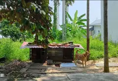 Bán đất 111m² ngõ ô tô Kiều Đông, Hồng Thái, An Dương, Hải Phòng hướng Tây Nam... Bán đất tại An Hải, Hải Phòng 01