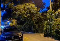🌳 NHÀ VƯỜN ĐẲNG CẤP TÂN HIỆP | 240M² | NGANG 6.4M | GIẢM SÂU 600 | GIÁ MỚI 7 TỶ... Bán nhà mặt phố tại Hóc Môn, Hồ Chí Minh 05