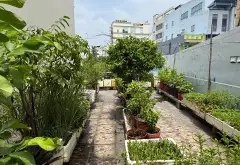 Cơ hội vàng sở hữu nhà 3 tầng ngay sát vòng xoay Phú Lâm Q6 với giá siêu cạnh tranh... Bán nhà riêng tại Phú Lâm, Hồ Chí Minh 11