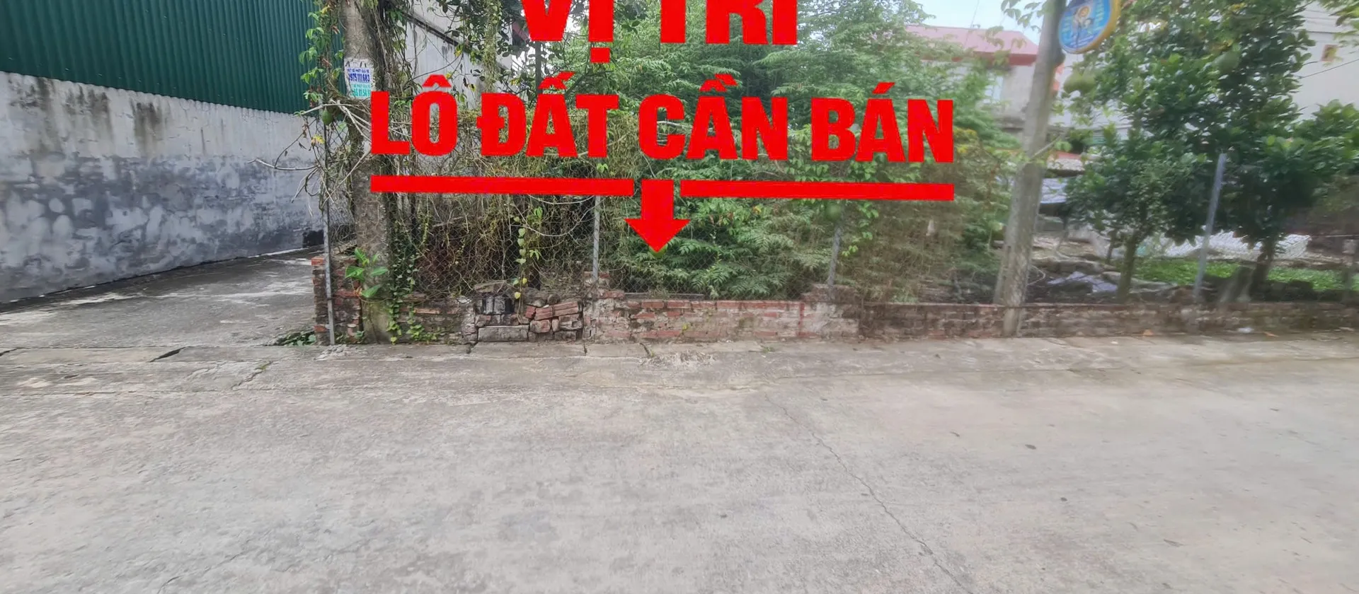 Cơ hội sở hữu lô góc đẹp, đường ô tô đỗ cửa tại phường Ninh Xá,... Bán đất tại Ninh Xá, Bắc Ninh 01