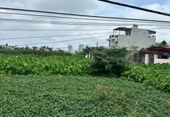 Lô Đất Vị Trí Trung Tâm Hành Chính Hoa Động, Thủy Nguyên, Mặt Tiền Rộng... Bán đất tại Thủy Nguyên, Hải Phòng 10