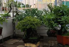 Nhà riêng 4 phòng ngủ, 4 tầng, hướng Đông Bắc tại khu vực gần Gò Vấp... Bán nhà riêng tại An Phú Đông, Hồ Chí Minh 12