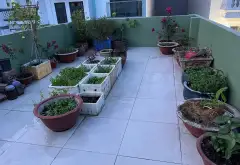 Nhà 3 tầng ô tô vào nhà - Giá tốt chưa từng có tại Bình Tân... Bán nhà riêng tại Bình Trị Đông, Hồ Chí Minh 06