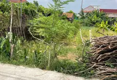 Bán đất 68m² mặt tiền 4,5m tại xã Lương Bằng, Hưng Yên... Bán đất tại Lương Bằng, Hưng Yên 03