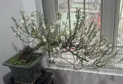 Bán nhà 4 tầng mặt tiền rộng 9m tại quận Tây Hồ... Bán nhà riêng tại Tây Hồ, Hà Nội 03