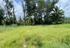 Đất Vàng Mặt Tiền Đường Lớn - Cơ Hội Đầu Tư Hiếm Có... Bán đất tại An Lạc, Hồ Chí Minh 05