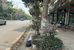 Nhà mặt đường ô tô tránh, thông, rộng rãi, kinh doanh đỉnh... Bán nhà mặt phố tại Đan Phượng, Hà Nội 06