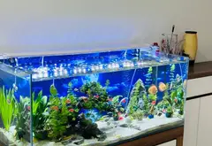 Bán nhà 5 tầng mặt ngõ lớn tại Cầu Đơ 45m2, 5 tầng, oto... Bán nhà riêng tại Hà Đông, Hà Nội 02