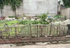 Bán đất 46,6m² tại tổ 25 Đông Anh, giá ưu đãi giảm 890 triệu... Bán đất tại Đông Anh, Hà Nội 01