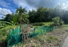 Cơ hội vàng sở hữu đất mặt tiền An Nhơn Tây, Củ Chi với giá cực tốt... Bán đất tại An Nhơn Tây, Hồ Chí Minh 01