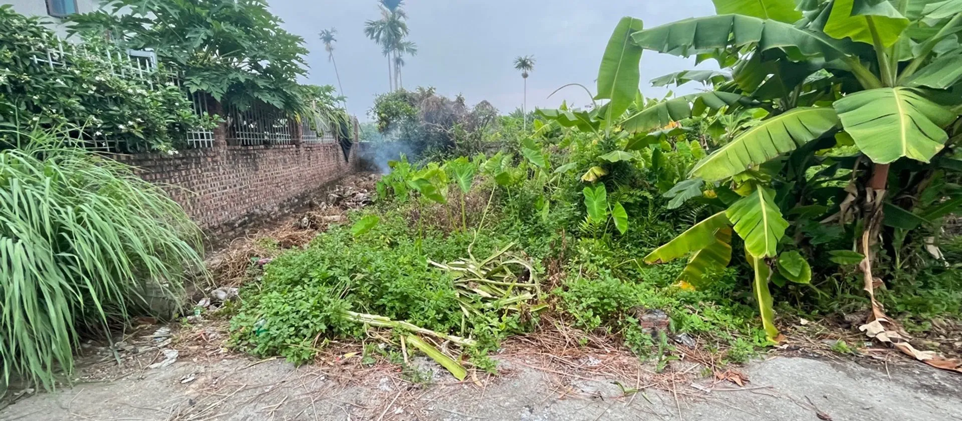 Mảnh Đất Tiềm Năng Tại Tràng Cát Với Vị Trí Thuận Tiện Và Mặt Tiền Rộng... Bán đất tại Hải An, Hải Phòng 01