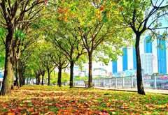 💥HOT 1️⃣ BT ngay LÚC NÀY💥vài bước là đến 🍁SEOUL giữa lòng SG + GIA ĐỊNH 🚘MT ⬅️42m2➡️ nhỉnh 4 TỶ... Bán nhà riêng tại Gia Định, Hồ Chí Minh 01