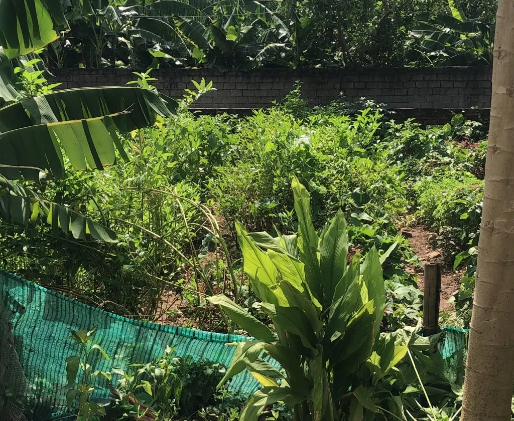 Đất Hiếm 2 Mặt Ngõ ô Tô Đỗ Cửa, Lợi Nhuận Đầu Tư Tại Yên Nghĩa... Bán đất tại Yên Nghĩa, Hà Nội 01