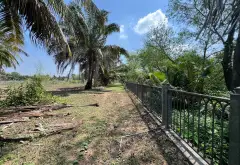 Khu Đất Đặc Quyền Ven Sông Long Phước Quận 9 Với Mặt Tiền 270m... Bán đất tại Long Phước, Hồ Chí Minh 04