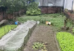 Bán đất 120m2 xã Đa Tốn, Hà Nội, mặt tiền 6.6m, giá 9.5 tỷ. Ô tô, kinh doanh, hàng xóm Ecopark... Bán đất tại Bát Tràng, Hà Nội 05