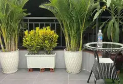 Bán nhà riêng 5 tầng tại Nguyễn Ảnh Thủ, diện tích 50.7 m2, giá 6.9 tỷ VNĐ... Bán nhà riêng tại Trung Mỹ Tây, Hồ Chí Minh 13
