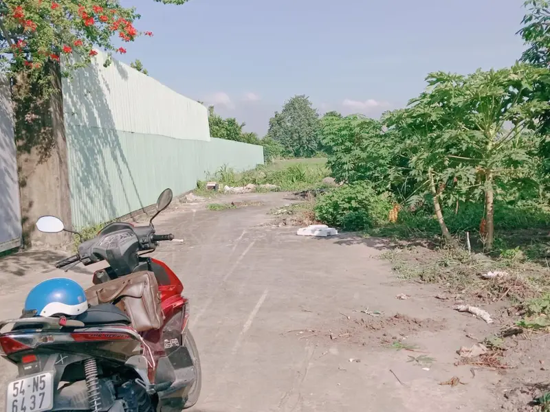 Cơ hội sở hữu đất thổ cư rộng lớn giá cực tốt tại Bình Mỹ... Bán đất tại Bình Mỹ, Hồ Chí Minh 01