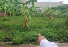 Đất đẹp tại phường Lưu Kiếm, TP Thủy Nguyên, diện tích phù hợp xây dựng... Bán đất tại Lưu Kiếm, Hải Phòng 02