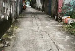 Lô góc nở hậu mặt tiền rộng, ngõ ô tô kinh doanh sầm uất tại Yên Trung... Bán đất tại Chi Lăng, Bắc Ninh 03