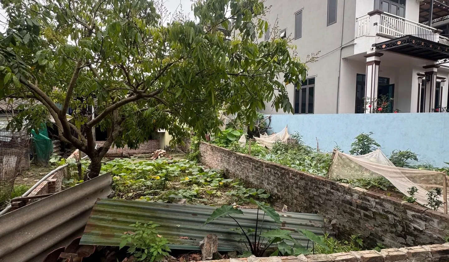 ĐẤT NGỌC HỒI NGÕ THÔNG , Ô TÔ , NGAY SÁT GA , DƯỜNG VÀNH ĐAI 3.5... Bán đất tại Ngọc Hồi, Hà Nội 01