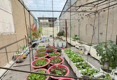 🏡 NHÀ ĐẸP 4 TẦNG – 63M² (4x17M) – GẦN LÊ VĂN QUỚI BÌNH TÂN.... Bán nhà riêng tại Bình Hưng Hòa, Hồ Chí Minh 09