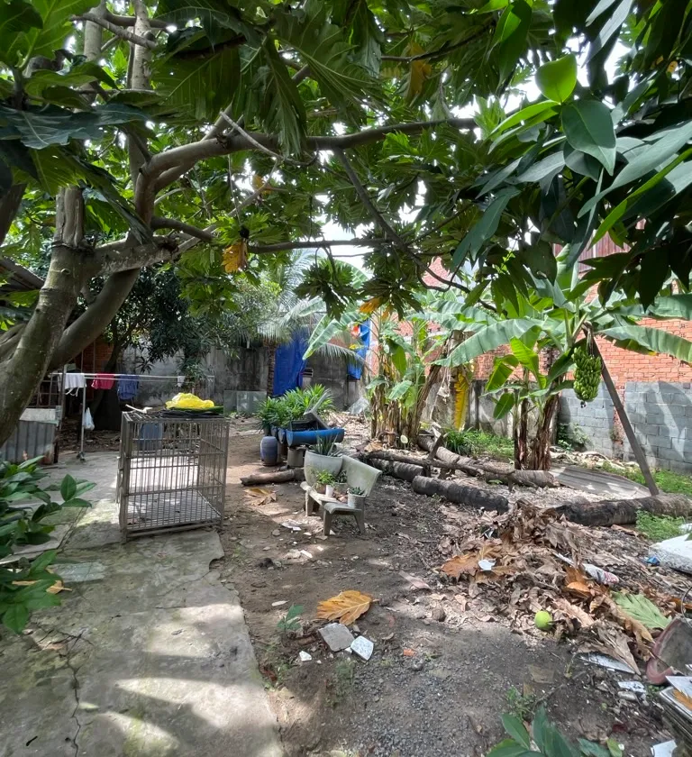 Bán nhà riêng 1 tầng rộng 181m2 tại xã Lê Minh Xuân Bình Chánh... Bán nhà riêng tại Bình Lợi, Hồ Chí Minh 01