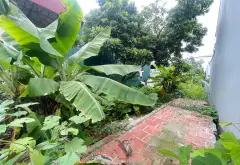 Bán đất mặt phố và mặt ngõ tại xã Hòa Bình, Thường Tín, diện tích 110m2, kinh doanh và văn phòng... Bán đất tại Thường Tín, Hà Nội 04