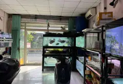 MẶT TIỀN KD ĐƯỜNG SỐ 9 – LINH XUÂN | 82M² | 5.3 TỶ 🔥... Bán nhà mặt phố tại Linh Xuân, Hồ Chí Minh 02