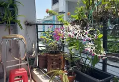 Bán nhà 3 tầng 44m² hướng Đông Nam tại Tân Phú, giá 6,4 tỷ... Bán nhà riêng tại Tây Thạnh, Hồ Chí Minh 12