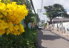 Hoàng Trọng Mậu, P. Tân Hưng - liền kề KDC Him Lam - 245 m2 - ngang 7.7m - nhích 21 tỷ... Bán nhà riêng tại Tân Hưng, Hồ Chí Minh 08