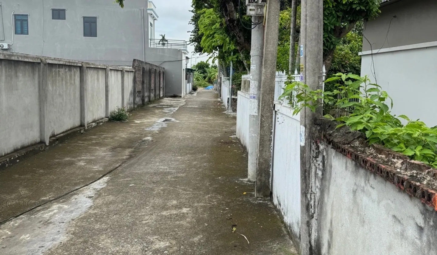 Cơ hội đầu tư đất vàng ngay trục chính Bát Trang – An Lão đang chờ bạn... Bán đất tại An Trường, Hải Phòng 01
