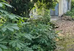Bán đất vườn rộng tại xã Liên Khê, Thủy Nguyên, Hải Phòng, tiện ích đa năng... Bán đất tại Lưu Kiếm, Hải Phòng 05