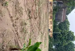 Cơ hội hiếm có! Đất lô góc 3 mặt thoáng, ô tô vào tận đất tại Yên Mỹ Thanh Trì... Bán đất tại Thanh Trì, Hà Nội 05