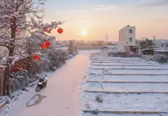 Bán đất dự án phân lô Thiên Đường Paradise gần nút giao trọng điểm với mặt tiền rộng 4m... Bán đất tại Hải An, Hải Phòng 05