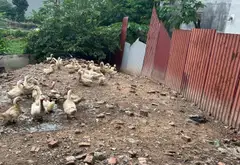 Tìm chủ mới cho bất động sản tiềm năng... Bán đất tại Võ Cường, Bắc Ninh 14