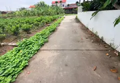 84m đất đông tảo khoái Châu Hưng Yên đẹp không tì vết... Bán đất tại Hoàn Long, Hưng Yên 03