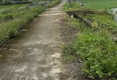 Đất nền tiềm năng tại Thủy Nguyên gần trung tâm Núi Đèo... Bán đất tại Hòa Bình, Hải Phòng 01