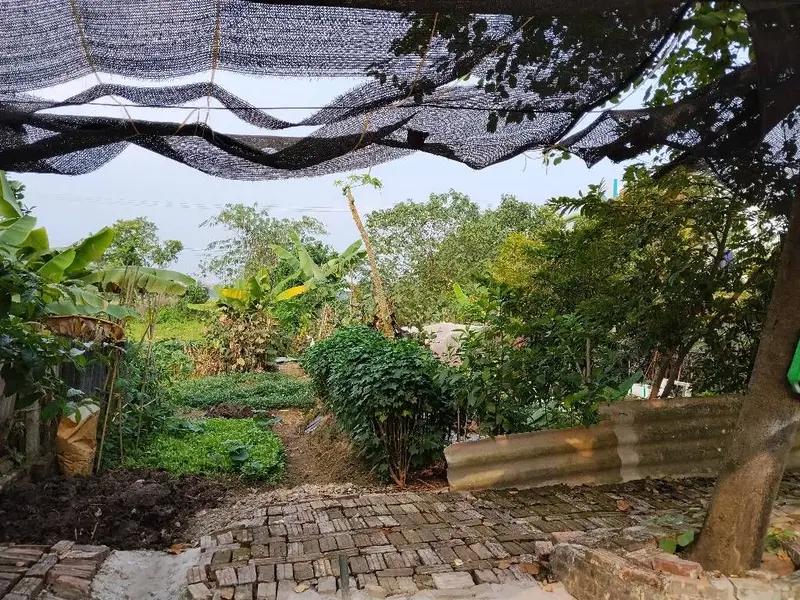 Bán đất lô góc xã Kim Chung, Kim Chung Lỗ, đường xe ô tô tránh, vị trí thuận lợi... Bán đất tại Thiên Lộc, Hà Nội 01