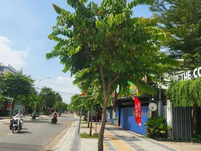 Nhà 250m, Mặt tiền Song Hành, ngay đại học Ngoại Ngữ, Hóc Môn... Bán nhà mặt phố tại Hóc Môn, Hồ Chí Minh 01