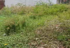 Bán nhà mặt phố diện tích 408.5m² ở xã kế bên 8, mặt tiền 6.3m... Bán nhà mặt phố tại An Phú Đông, Hồ Chí Minh 06